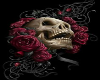 skull rose club