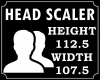 !! HeadScaler112.5/107.5