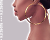 A. Gold Hoops