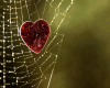 6v3| Heart & Cobweb