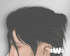 D| Honey Black Hair M