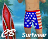 CB Patriotic Surf Shorts