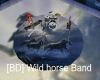 [BD] Wild Horse Band