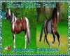 |AM| Apaloosa Enhancer