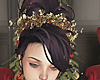 Christmas Holly Crown V3