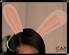 + Ears Bunny Animated +