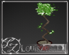 [LZ] Loewins Plant