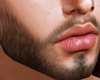 Exclusive Yale Beard II