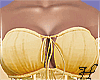 Corset Lace Dress Yellow