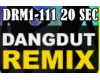 DANGDUT REMIX SONG