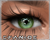 ₡ Elysian dark Green