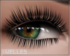 Flutter Lashes | Welles