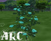 ARC Sky Blue Roses