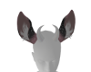Grey and Pink Ears