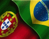 WorldCup Brasil Portugal