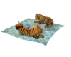 tigre de praia