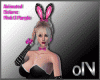0I Sexy Bunny Bundle