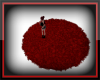 Red Shag Rug