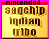 *SAGCHIP INDIAN*gold