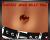 Org Harvest Moon Belly R