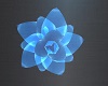 blue wall flower
