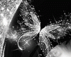 Chrysa Anim. Butterfly