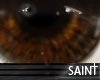 [SAINT] Beloved Eyes