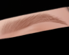 S| #8 brows ginger