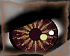 supernova chocolate eyes