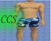 (CCS) Mens Swim Trunks