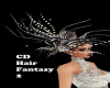 CD Hair Fantasy 2