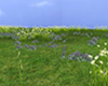 Lavender Hill Field