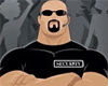 Security animated