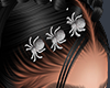 M- Spider Buckle