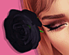 Rose | Black BUNDLE