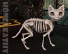Skeleton Cat 2023