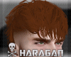Mullet Ginger