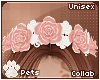[Pets]Fievel |rose crown