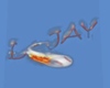 Poster L-Jay