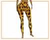 Leopard Tights