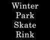 [CFD]Winter P Skate Rink