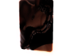 CutOut Snake2