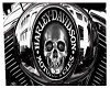 Harley Davidsong logo pi