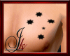 cstm AUSSIE pride tattoo