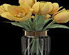 Nice Gold Tulips~