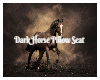 Dark Horse Pillow Seat