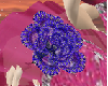 (Fe)dark blue flower