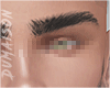 Gentleman Brows