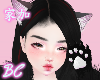 🍓black kitty anime