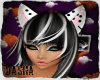 Neko Halloween -WT